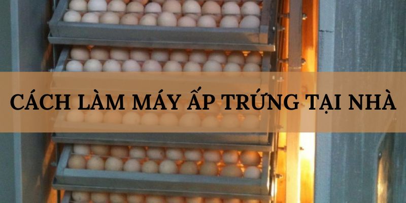 Banner www.iris-furniture.com