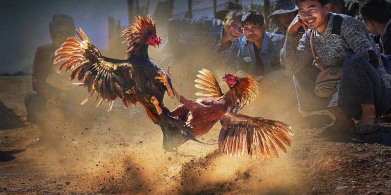 Banner www.iris-furniture.com