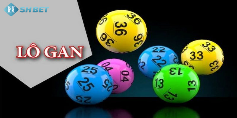 Banner www.iris-furniture.com