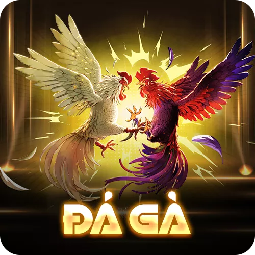 Banner www.iris-furniture.com