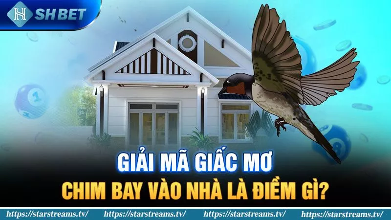 Banner www.iris-furniture.com