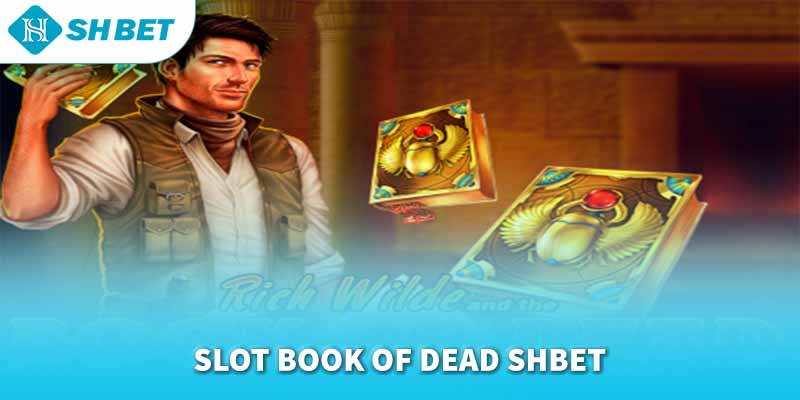 Banner www.iris-furniture.com