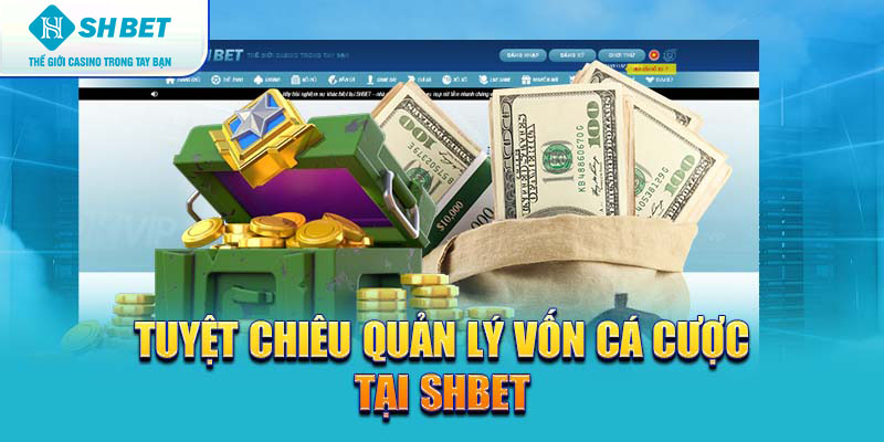 Banner www.iris-furniture.com